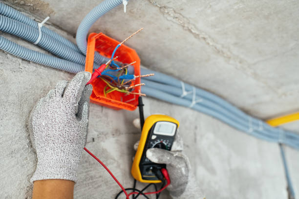 Best Electrical System Inspection  in Whitmire, SC